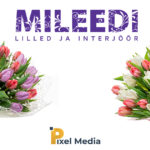 Mileedi